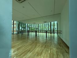Park Infinia At Wee Nam (D11), Condominium #588932121